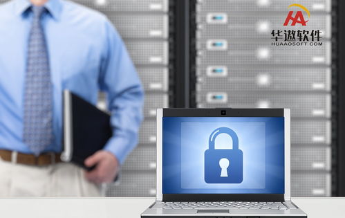 從軟件到資源協調 ERP實施成敗中的互聯網數據服務影響分析